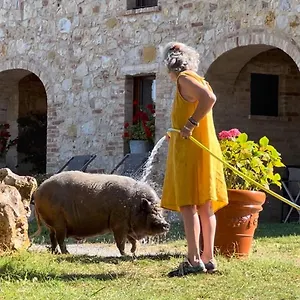 Agroturismo Sole, Trequanda